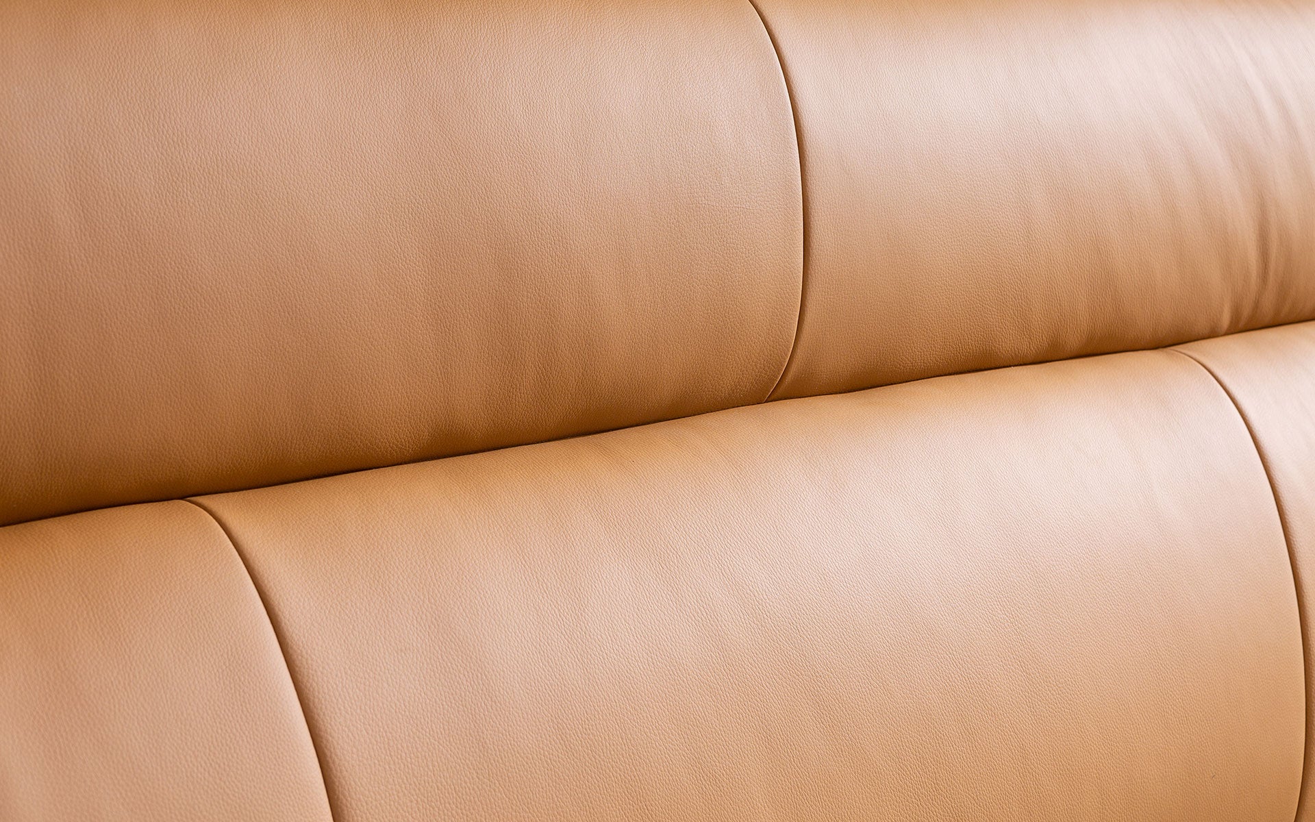 Zephyr Modern Leather Platform Bed