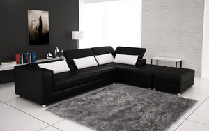 Erial Modern Leather Sectional