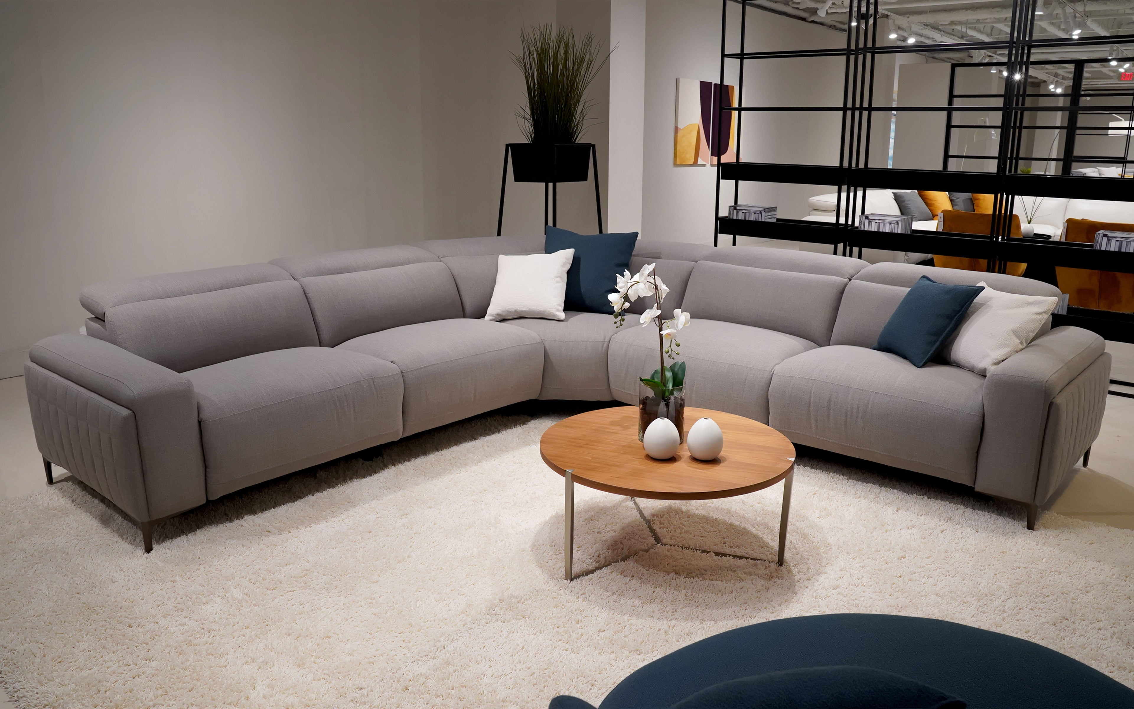 Aiza Modern Sectional with Recliner