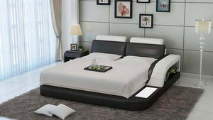 Nathanson Leather Bed With Storage