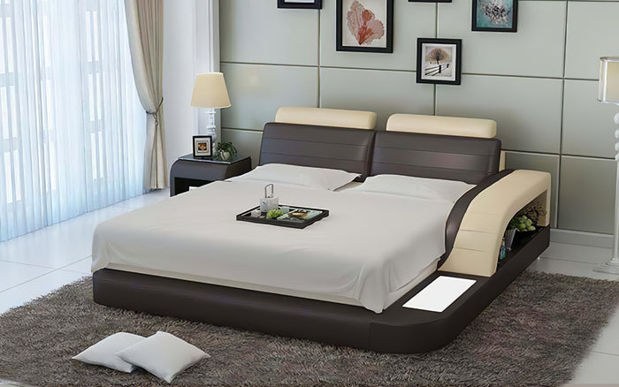 Nathanson Leather Bed With Storage